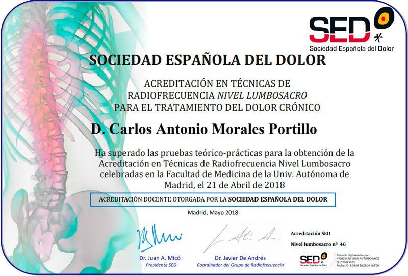 sed sociedad-espanola-de-dolor