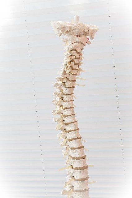 Tratamiento de la hernia discal columna vertebral