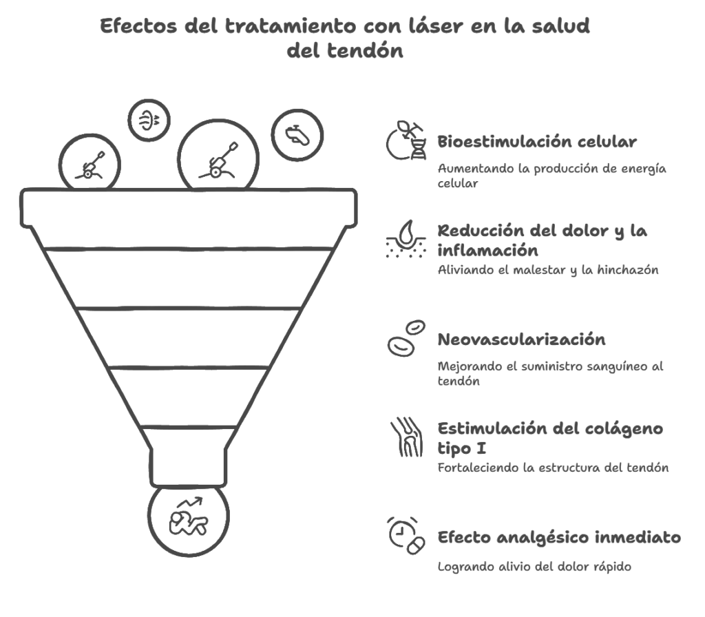 📌 ¿Cómo funciona el láser en la regeneración del tendón_ - visual selection