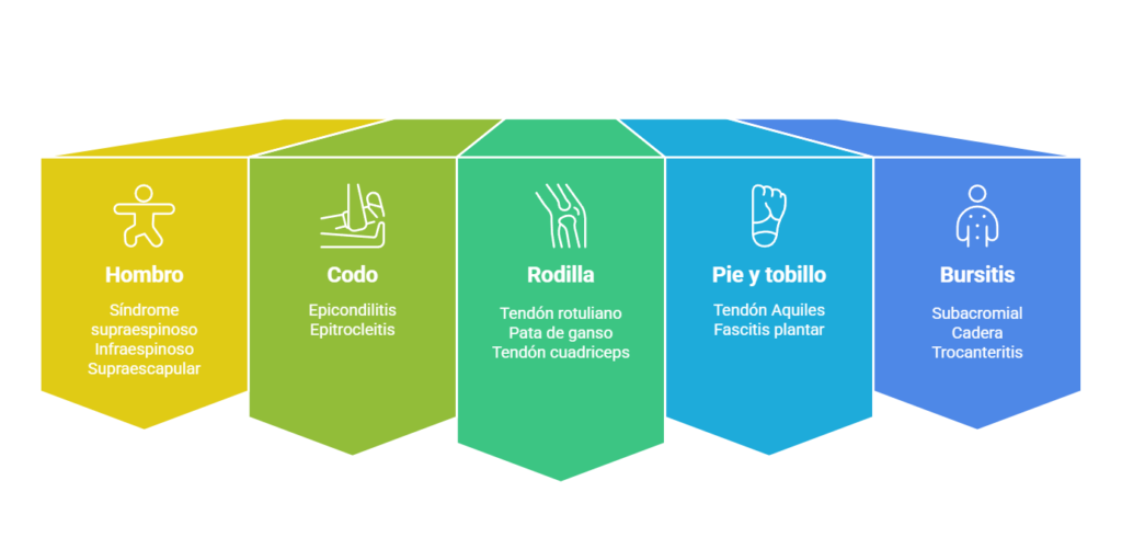 📌 ¿Cómo funciona el láser en la regeneración del tendón_ - visual selection (2)