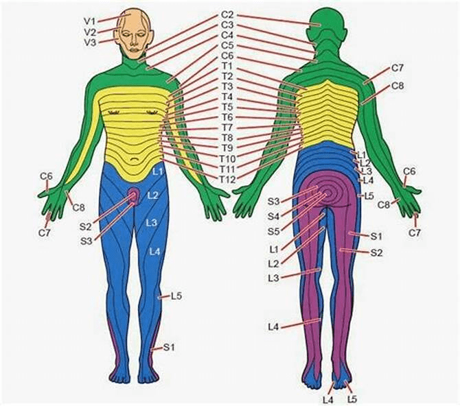 síntomas estenosis lumbar